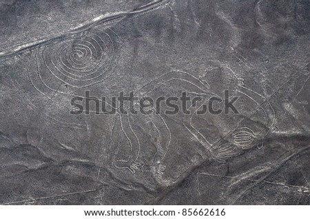 Nazca Lines - Monkey - Aerial View from a Plane