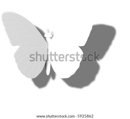stock photo Outline shadow and wing veins of invisible butterfly or moth