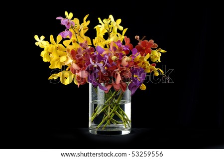 Bouquet of orchids in vase on black