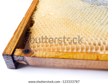 fresh honey in comb. Beer honey in honeycombs. Natural sweet.