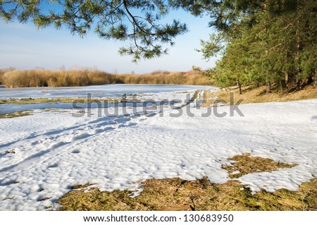 frozen river and trees in spring season