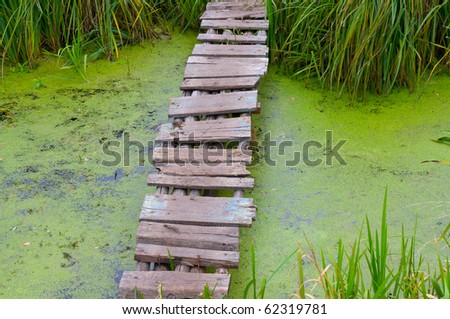 The wooden bridge through not the big small river
