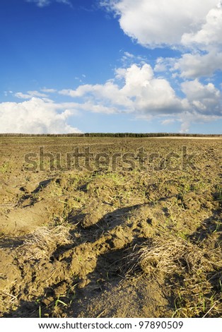 plowed brown clay soil field blue sky horizon