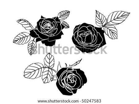 black and white pictures of roses. lack and white roses