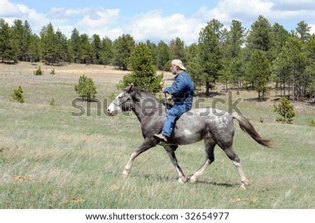 horse and rider in tune with natural horsemanship