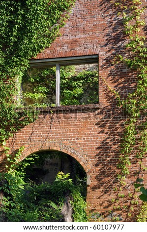 old deserted brick building with green vines