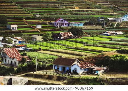 Vietnamese Central Highlands Agriculture (Da Lat, Vietnam)