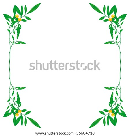 plant frame