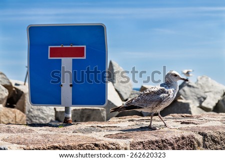 Sea gull and traffic sign on the mole in Sassnitz (Germany).