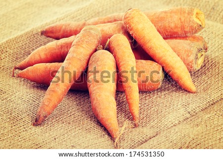 Fresh ecologycal carrots (eco food concept)
