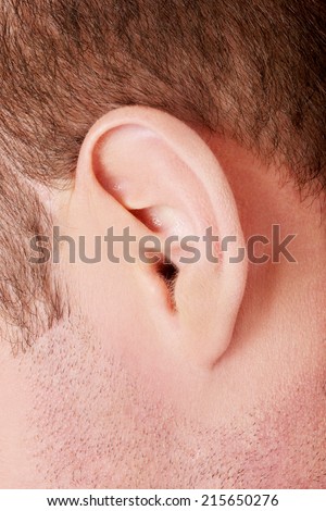 Human man ear on white background