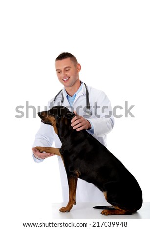 Confident male veterinarian examining adult dog