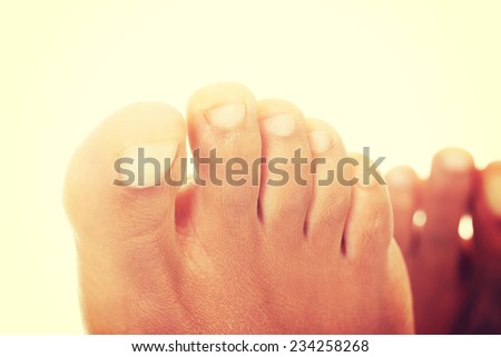 Beautiful female feet - close up on toes , isolated on white.