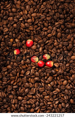 A lot of coffee beans and berry