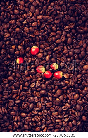 A lot of coffee beans and berry