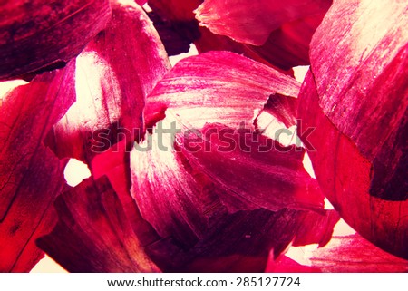 Peeled red onion skin