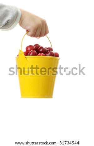 Kids hand holding cherries in colorful yellow metal bucket isolated on white background