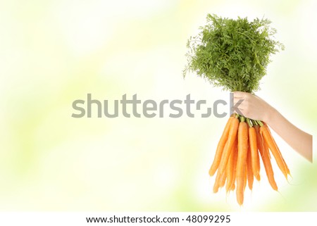 Hand holding bunch of orange carrots with green tops against green background.
