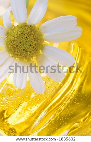 Foam for a bath with camomile-means for removal of stress and weariness