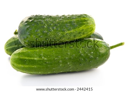 Ripe green cucumbers-natural source of vitamins and freshness