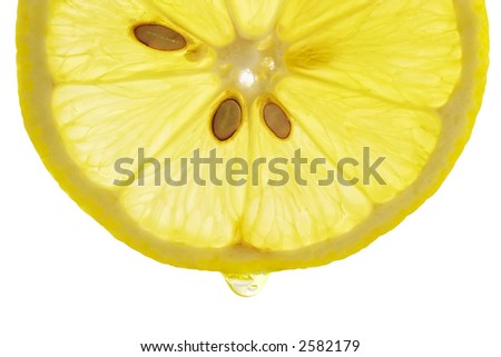 Big Lemon Fruit