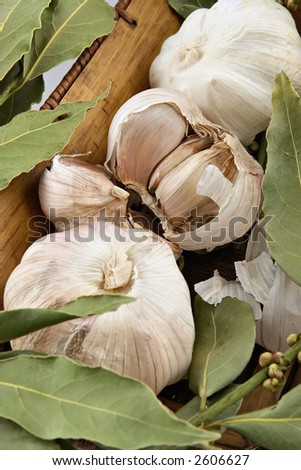 Heads of garlic and a laurel leaf-spicy of seasoning for preparation juicy entertainments