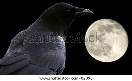 Black crow and moon