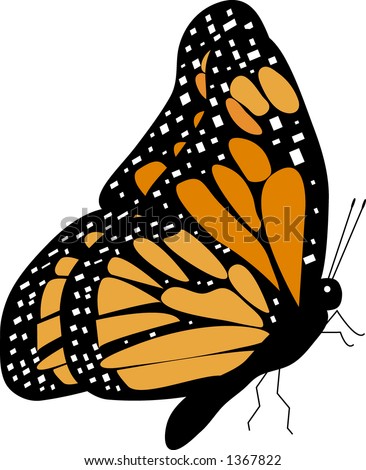 Europe  Vector on Stock Vector Monarch Butterfly L Side View Vector 1367822 Jpg