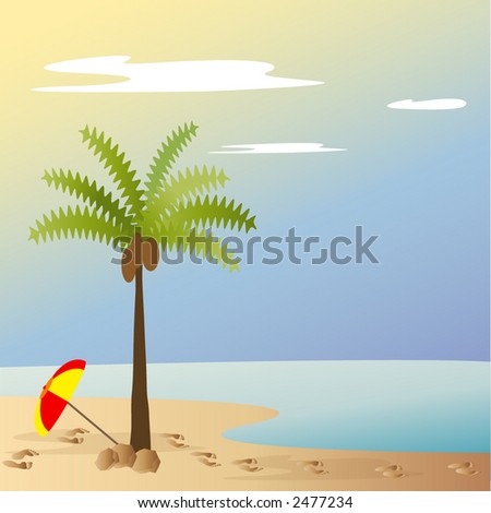 Sand Vector