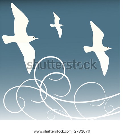 stock vector : birds in flight vector