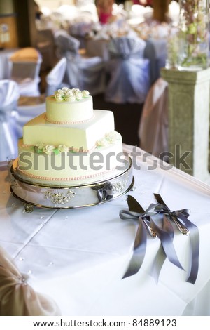 elegant tiered wedding cake (circles and square)  with knives and ribbon