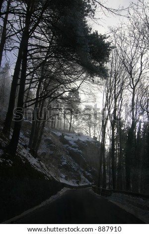 a gloomy forest road during sunrise on the way up to the duke\'s castle in lichtenstein.