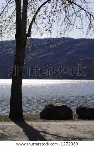 Lake Okanagan sun-kissed by the early morning sun.  A tree just beginning to leaf out for spring and two large boulders are silhouetted against the sparkling water.