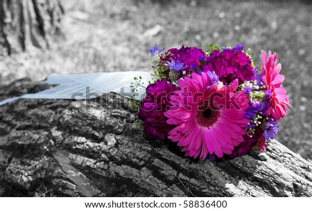 stock photo A beautiful bridal bouquet left sitting on a tree trunk