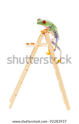 Frog Ladder