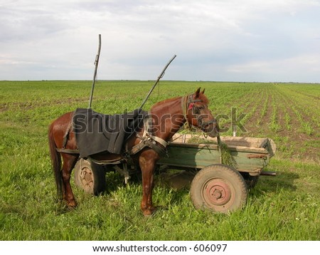 Ancient Agriculture Horse