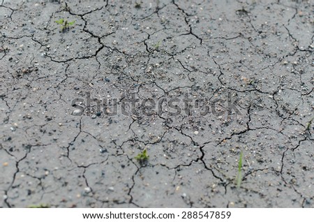 Close Up Detail Of Cracked Dry Ground\
\
Macro shot of a dry and cracked muddy area.