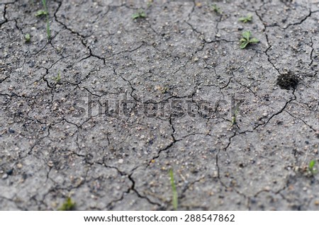 Close Up Detail Of Cracked Dry Ground\
\
Macro shot of a dry and cracked muddy area.