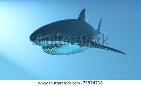 Shark Head Illustration