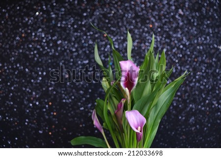 bouquet of purple calla lilies