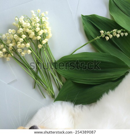 Freshly cut bouquet of lilies of the valley