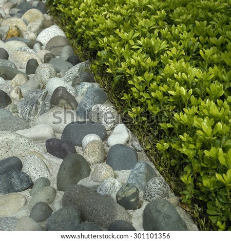 Different sizes and colors of stones poke out of a wall top near a trimmed green hedge