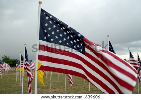 field of flags