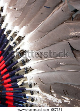 Dance Costume Feathers