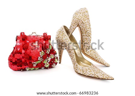 Elegant Handbag And Shoes For Women Stock Photo 66983236 ...