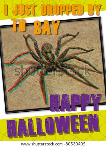 3-D Halloween Spider Greeting Card.  Print out and send to those who dislike spiders!