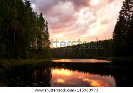 River in the nordic forest at sunset