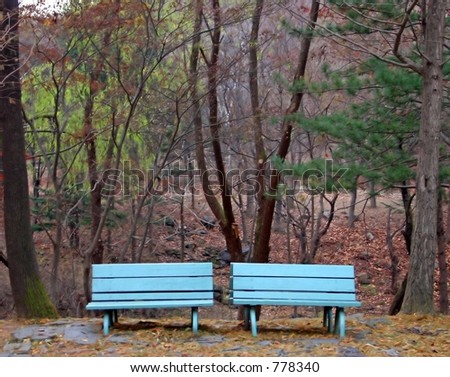 Two blue benches in the forest