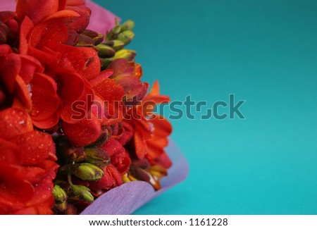 Bouquet of flowers in colored tissue paper