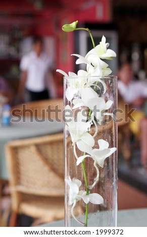 Tropical white flowers in a vase on a restaurant table